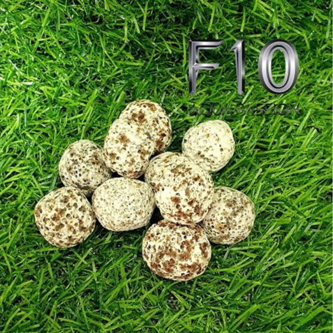 Sứ bi muối tiêu Vật liệu lọc nước bể cá 100G