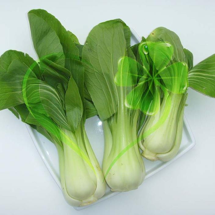 Hạt giống cải thìa - gói 20 gram