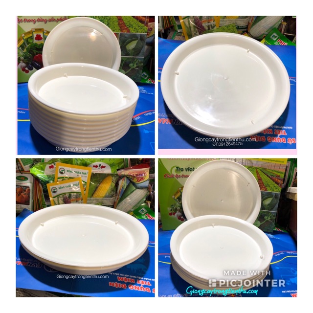 ĐĨA LÓT CHẬU CÂY CẢNH PHI 35 (10 cái)