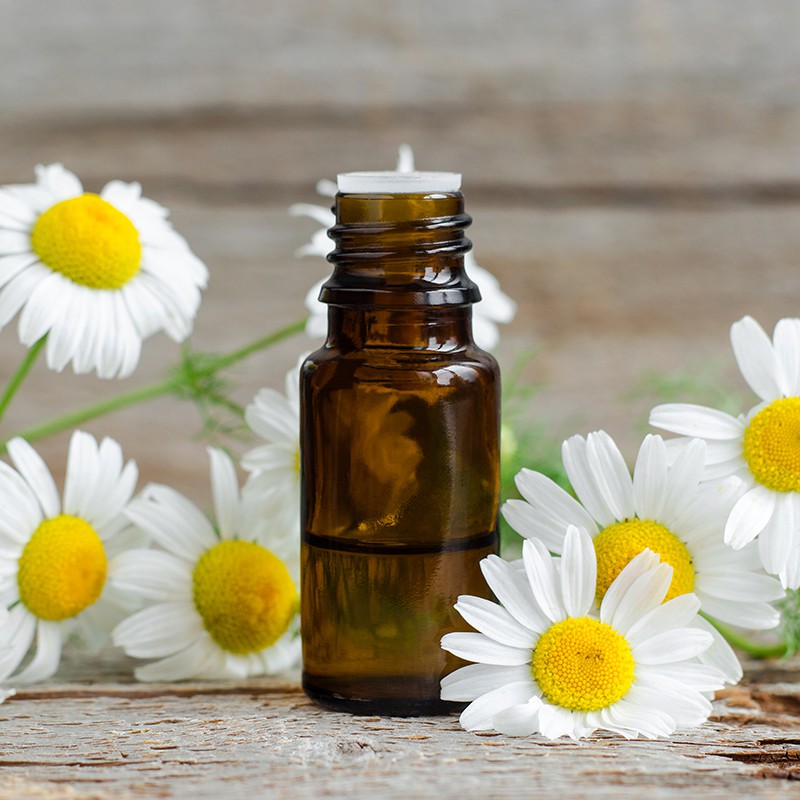 Tinh Dầu Nguyên Chất Hoa Cúc La Mã 10ml