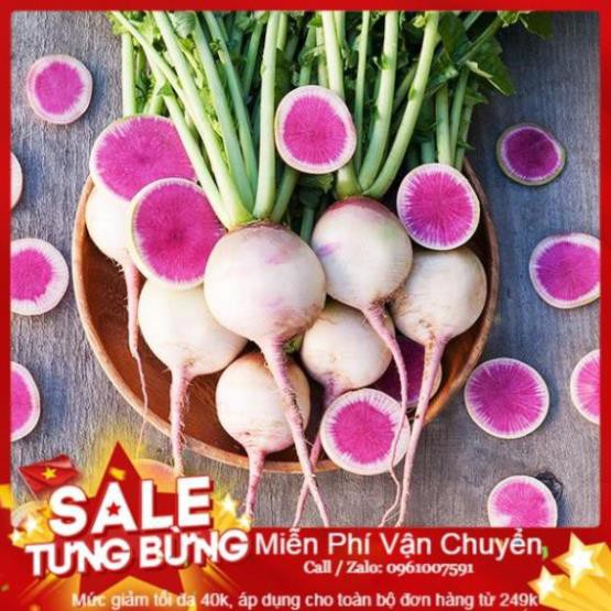 Hạt Giống Củ Cải Trắng Ruột Đỏ - 300 Hạt (Đài Loan)