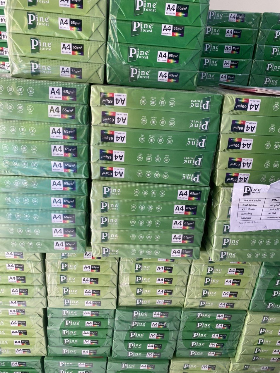 Giấy photo Pine A4 ĐL 65g/m2 ( 500 tờ/1 ram )