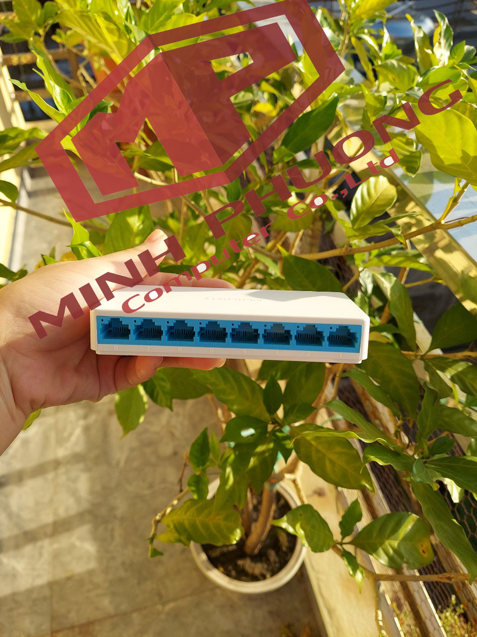 Bộ Chia Mạng Switch 5 cổng TP-LINK TL-SF1005D 10/100Mbps