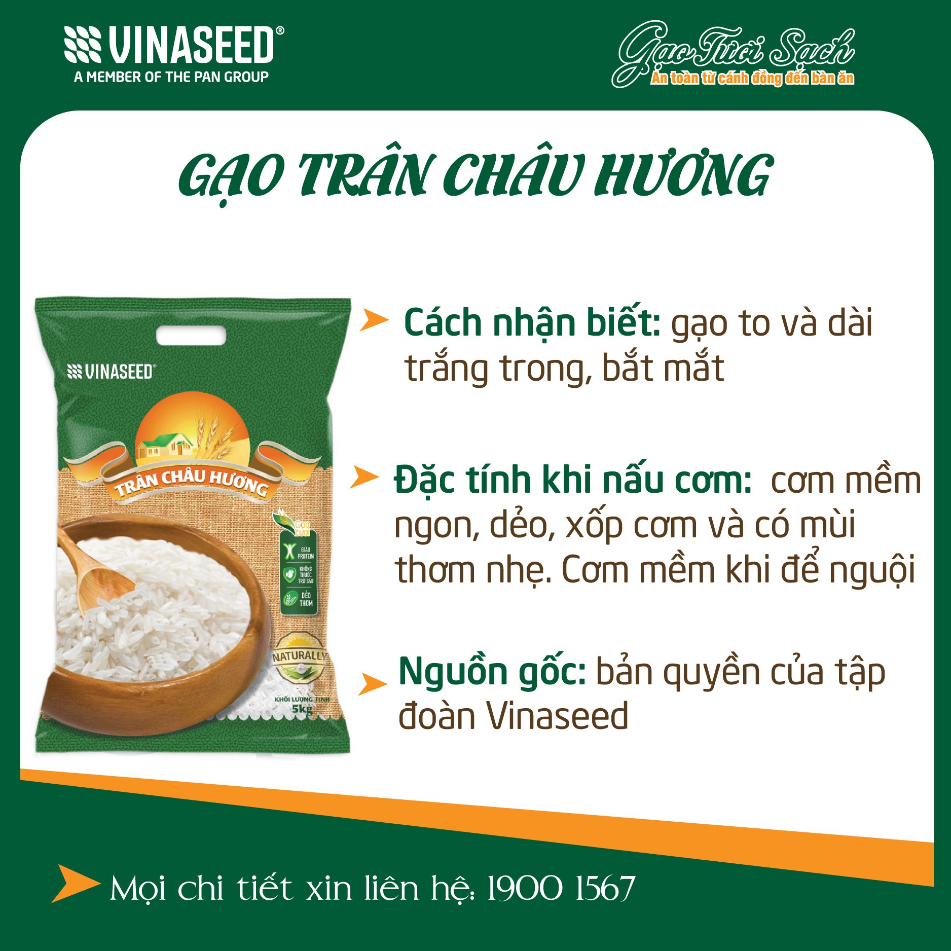 Gạo Thơm RVT