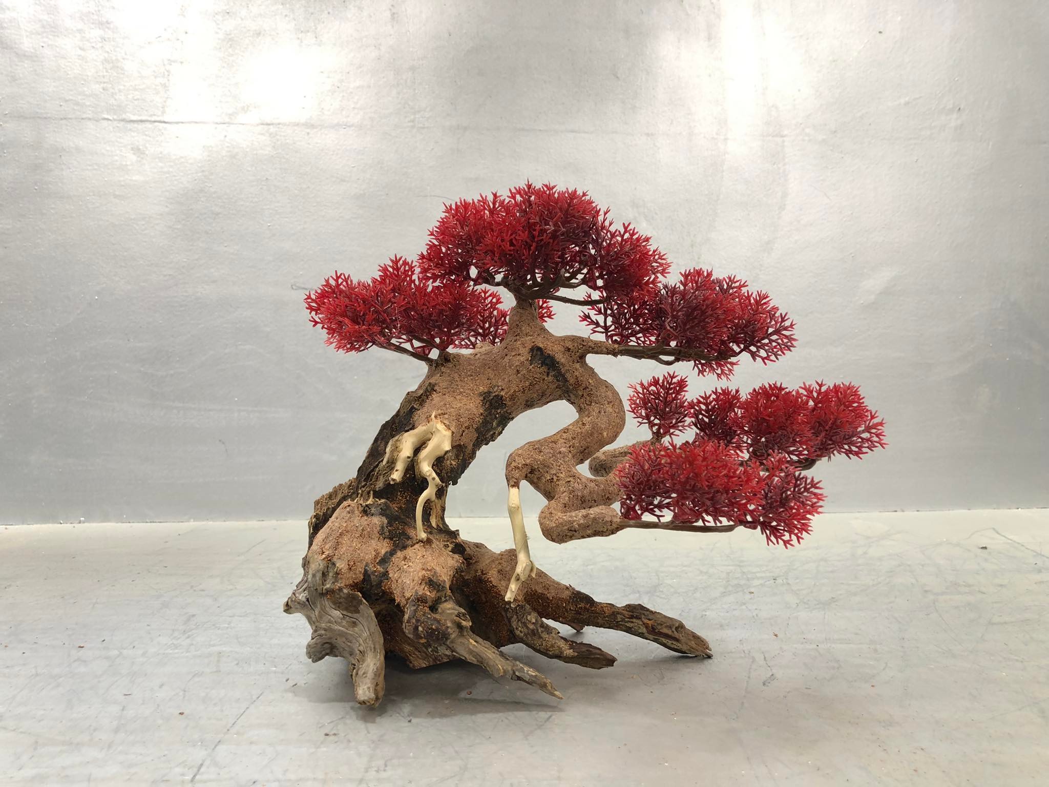 Lũa Bonsai mini cho hồ thủy sinh - Xưởng Lũa Mr Wood