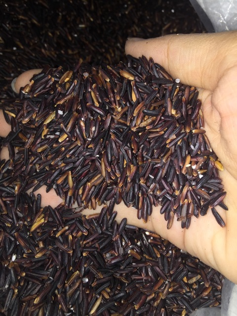 1KG GẠO LỨT TÍM THAN