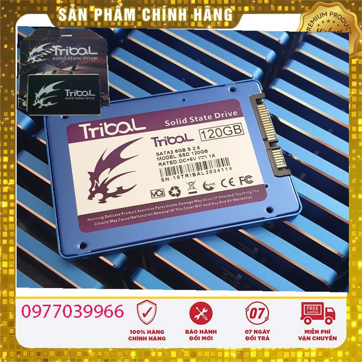 Ổ Cứng Ssd 240Gb Và 120Gb Tribal