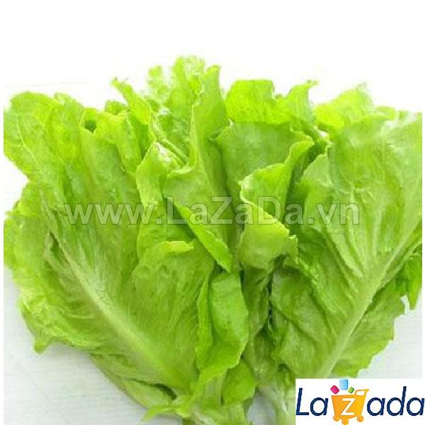 10Gr Hạt Giống Xà Lách Dún Vàng (B1.202| Z23*V54*M119)