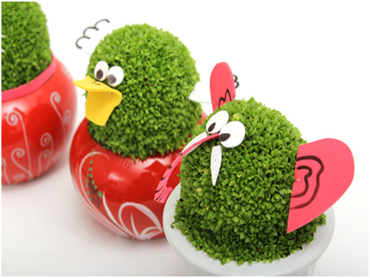 Hạt giống cỏ, cây may mắn