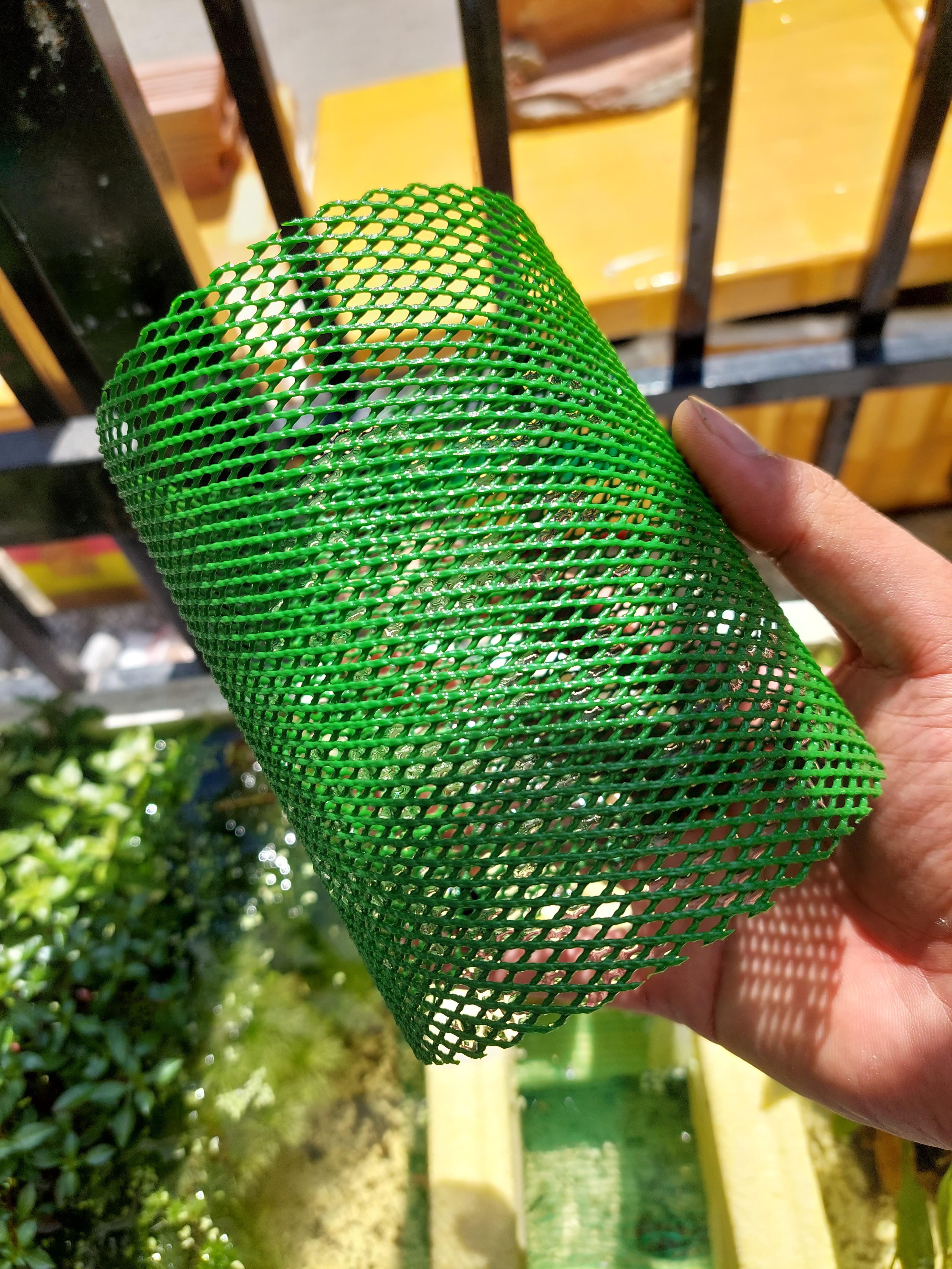 Lồng lưới tách cá đẻ 2 màu 3li cao 13cm