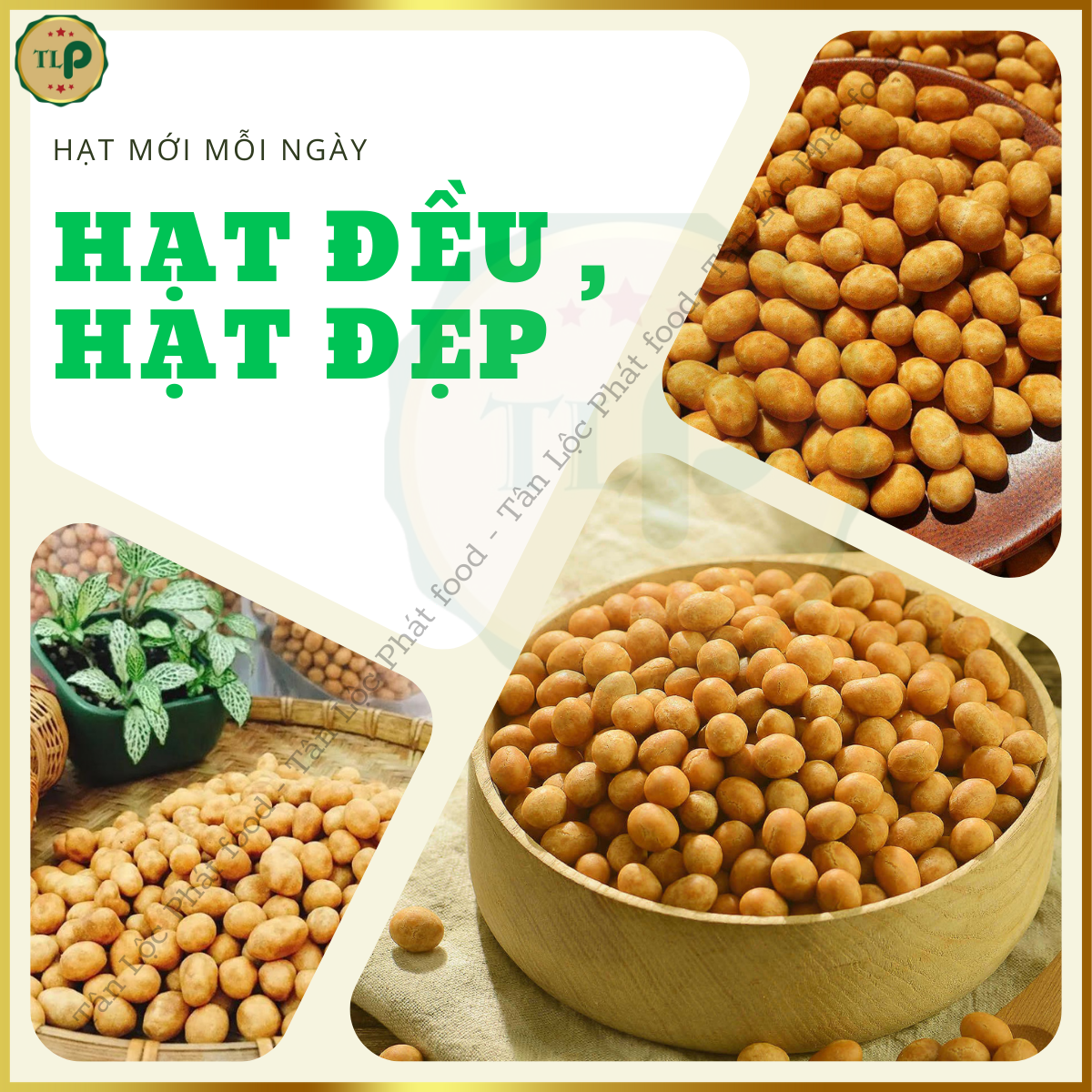 Tan Loc Phat Coconut Peanuts 80g Bag