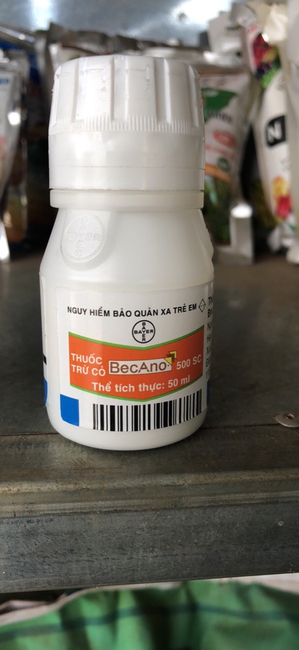 Thuốc diệt mầm 6 tháng Becano 50ml
