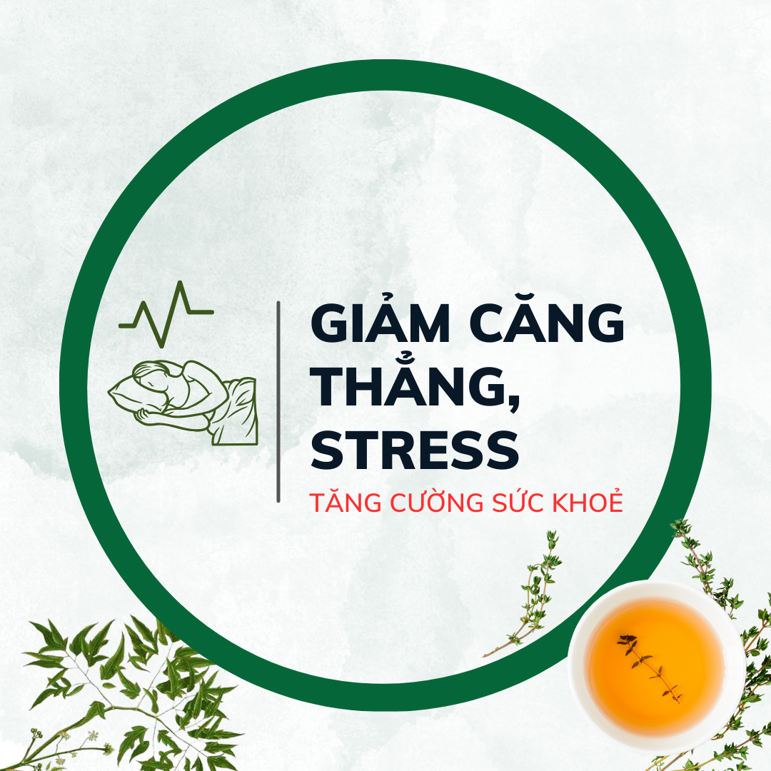Trà Đinh lăng Mộc Can hộp 25 túi lọc