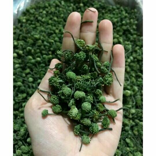 500g nụ tam thất