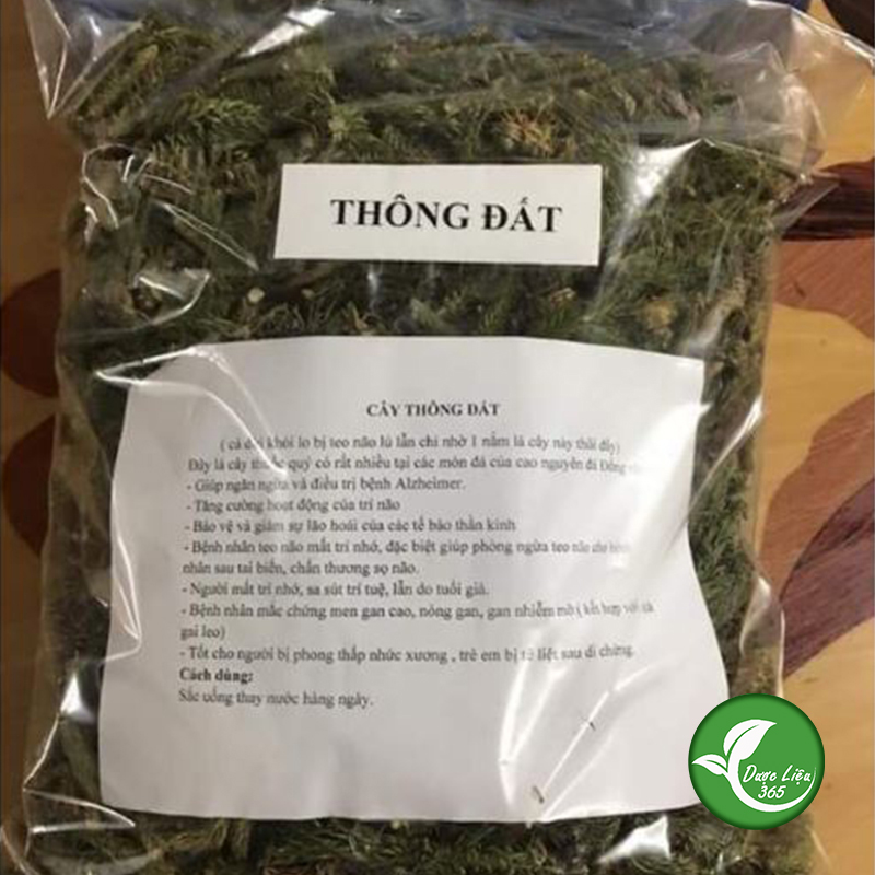 Cây thông đất khô [1kg]  - DL192
