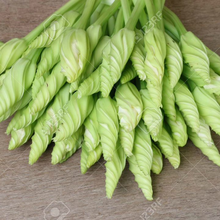Hạt giống Hoa Chom chan Thái Lan gói 5 hạt