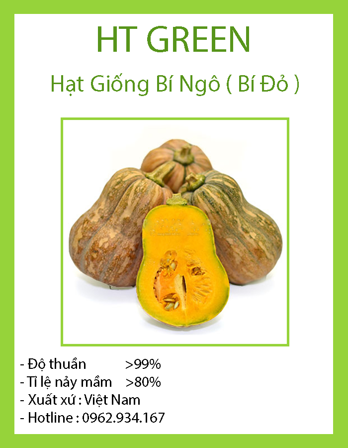 Hạt Giống Bí Đỏ ( Bí Ngô )
