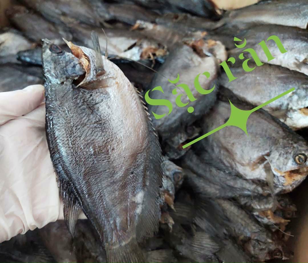 1kg khô sặc bổi đồng cà mau 8-9con