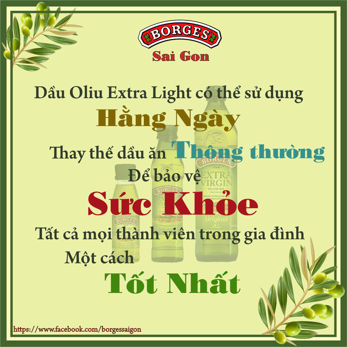 Dầu Oliu Siêu Nguyên Chất Extra Virgin Borges Cao Cấp