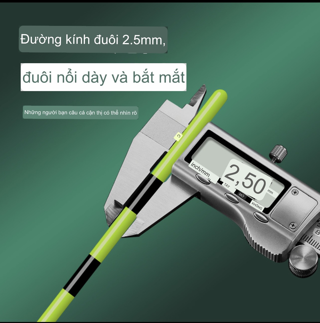 phao đổi màu câu đài