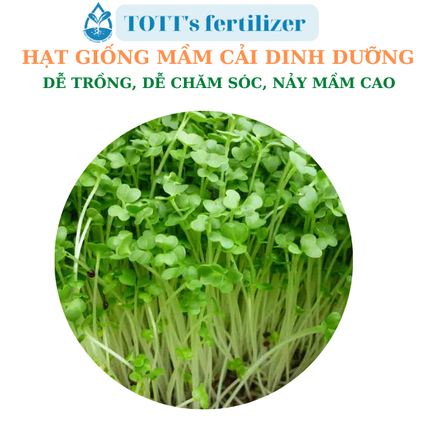 Hạt giống Mầm cải dinh dưỡng TOTT's fertilizer