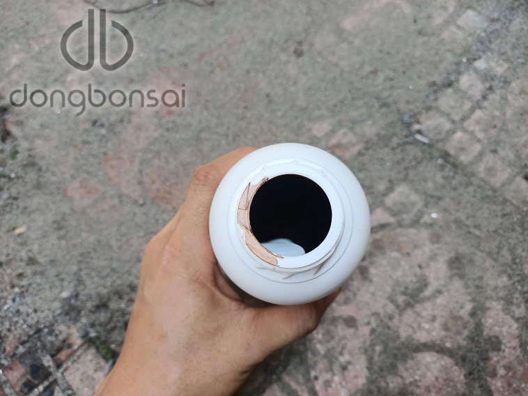 Bôi lũa bonsai bảo vệ, tạo màu thẩm mỹ cho lũa( Chai 500ml)