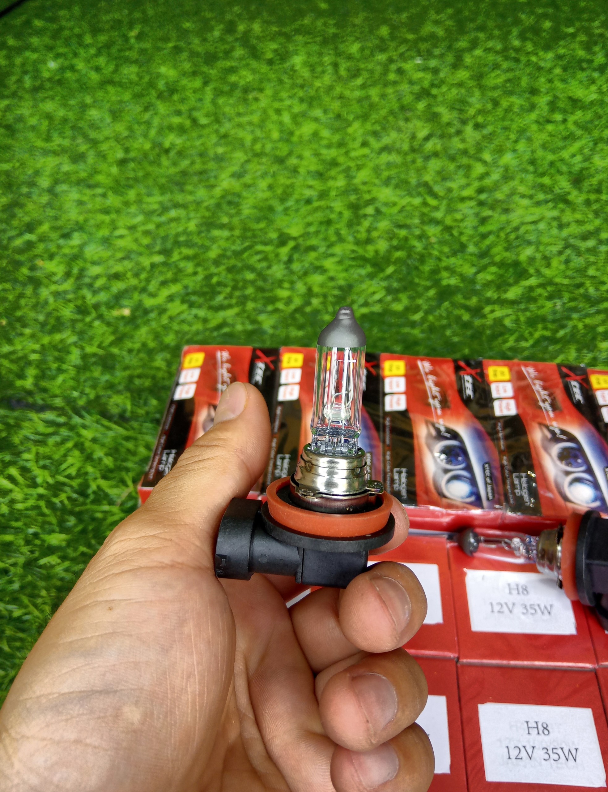 [HCM]Bóng đèn Halogen H8 12V 35W Japan