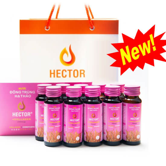 Hector Collagen đông trùng hạ thảo (Hộp 10 lọ x 50ml)