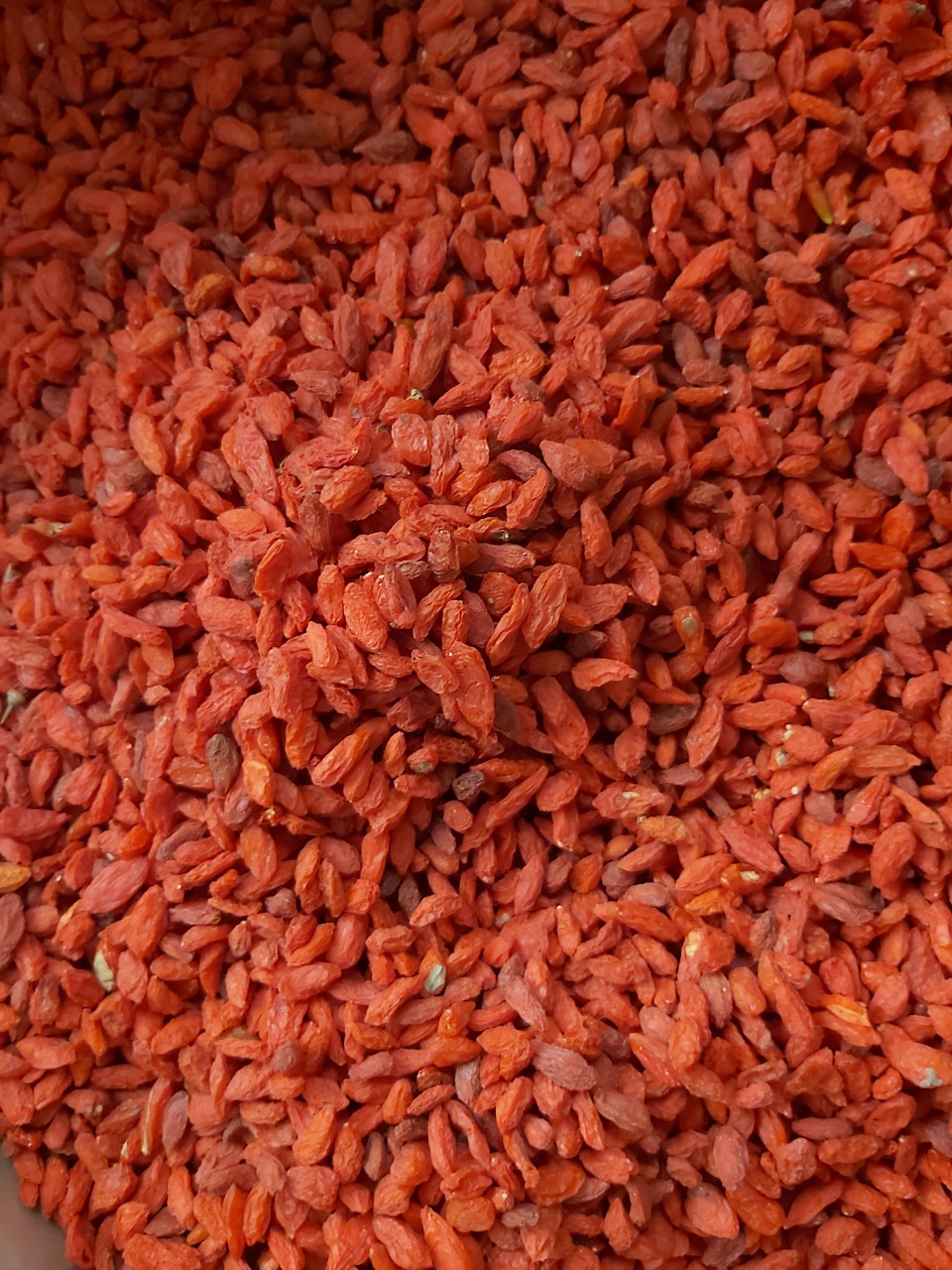 100gr hạt kỷ tử đỏ nguyên chất lương y