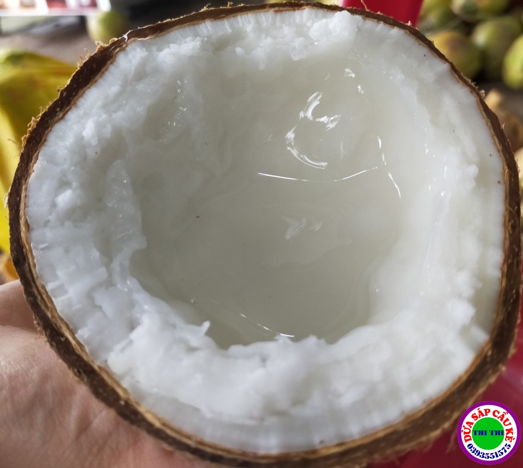 DỪA SÁP LOẠI 2 (Trái 600gr-700gr)