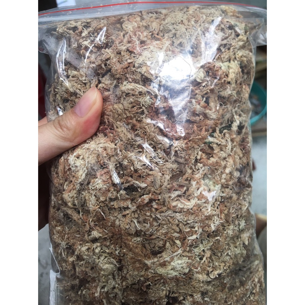 Dớn trắng Chile (dớn mềm) chất trồng hoa lan 100gr