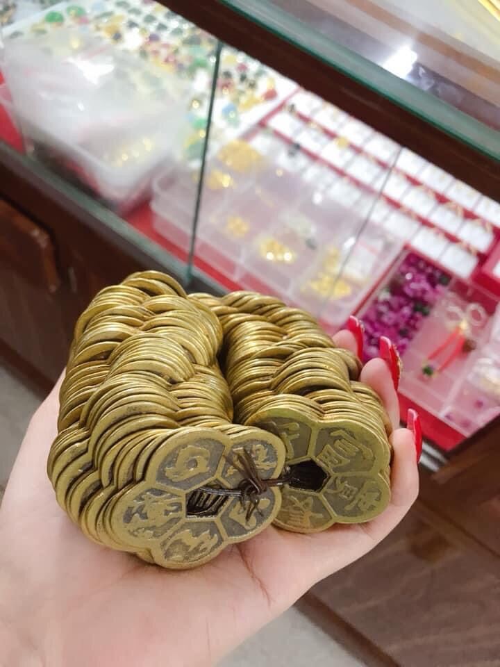 Hoa mai kIm tiền tài lộc