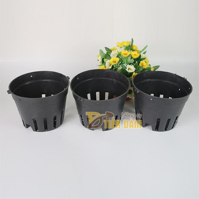 5 chậu nhựa đen trồng Lan phi 14cm