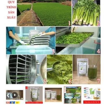 100Gr Bột Cần Tây sấy lạnh nguyên chất 100% handmade