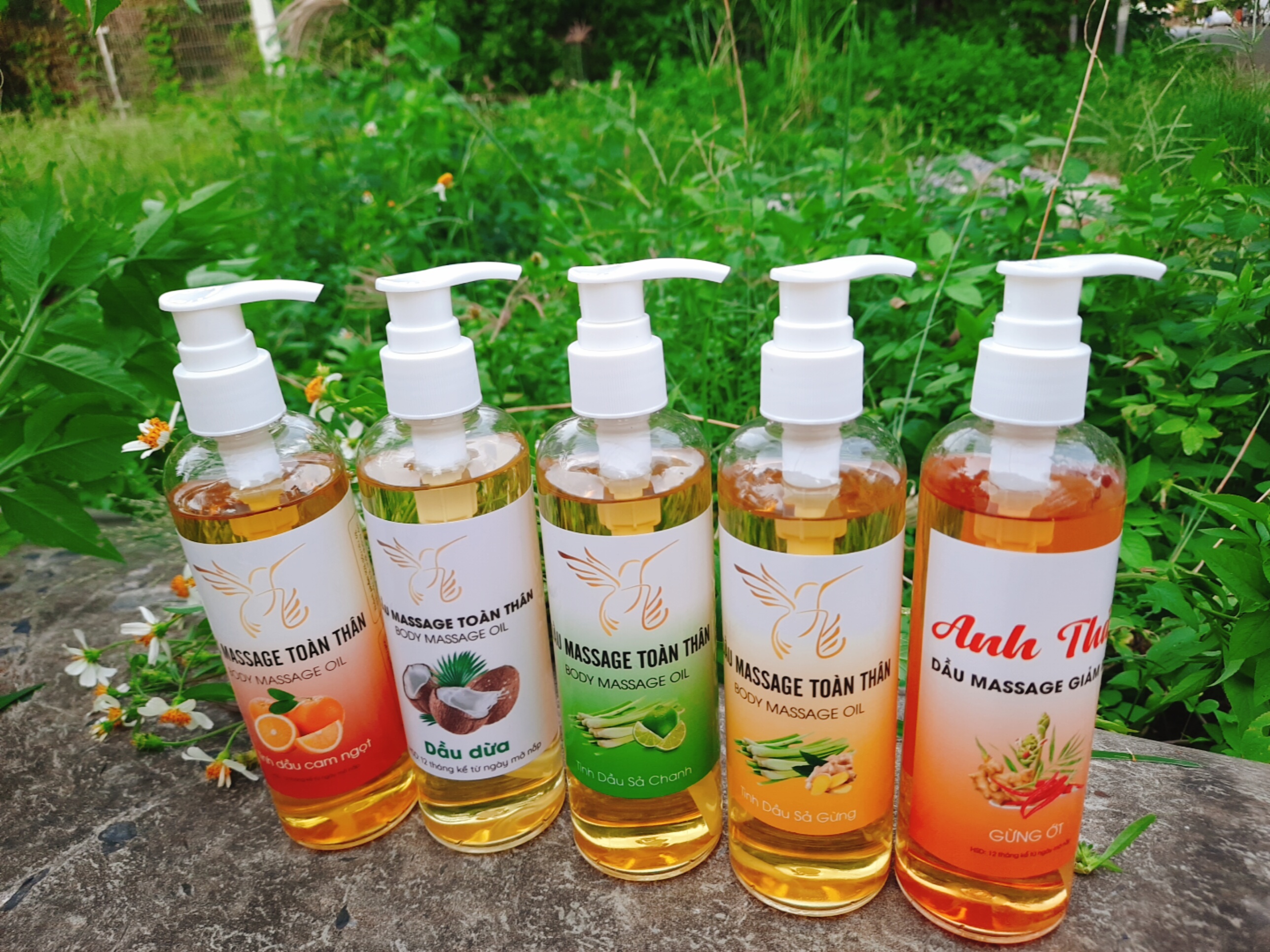 Dầu massage gừng 250ml