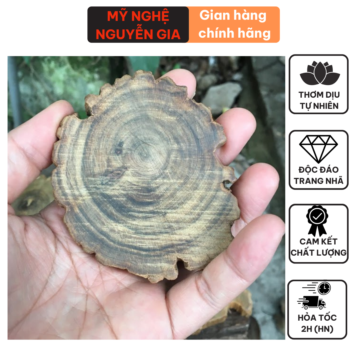 Miếng lót ly , đế lót ly, lót cốc, làm đồ trang trí hương THƠM tự nhiên nhẹ nhàng sảng khoái dễ chịu (gỗ Bách Xanh) coasters
