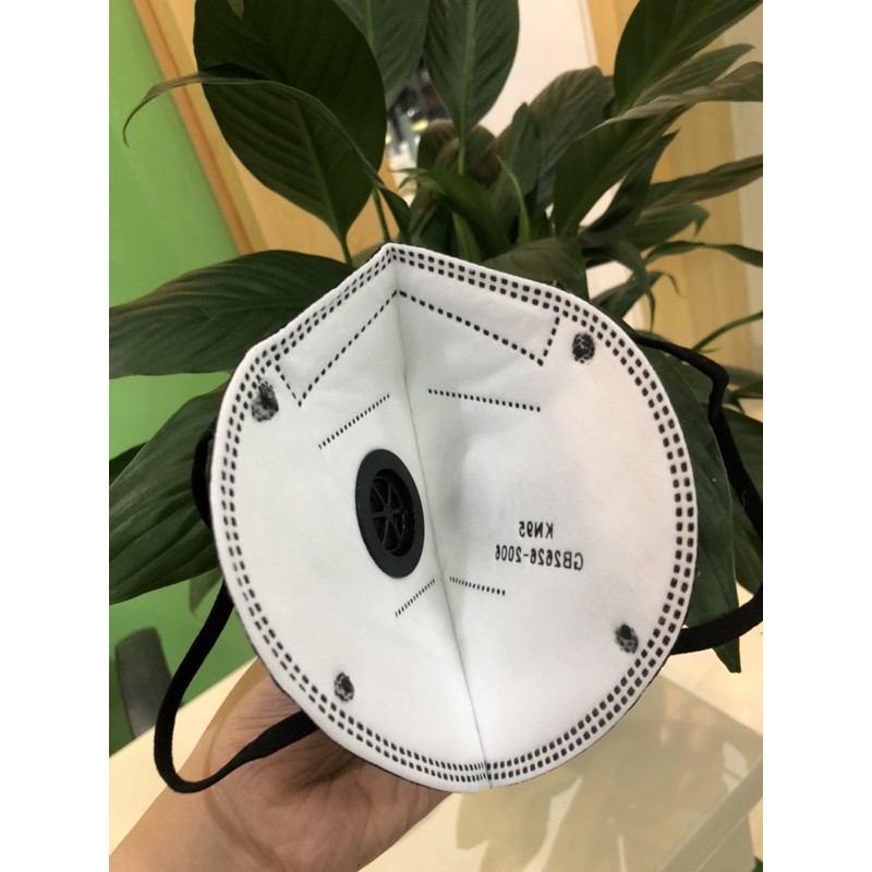 Hộp 10 chiếc khẩu trang N95-KN95 TOMODS