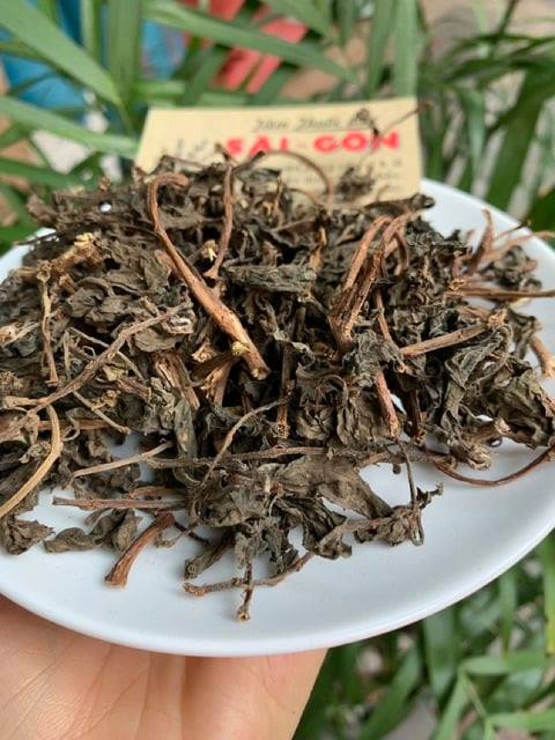 [HCM]CÂY THU ỐC DÒI 500GRAM Tiệm Thuốc Bắc Sài Gòn