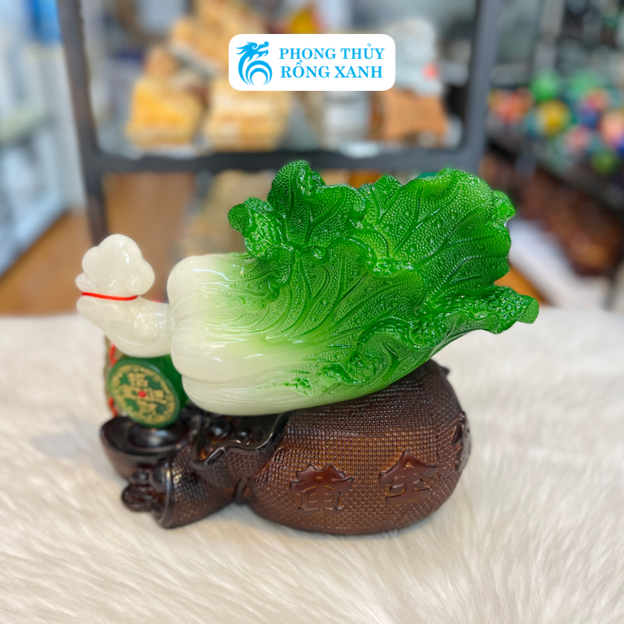 Bắp Cải Phong Thuỷ Đế Túi Vàng