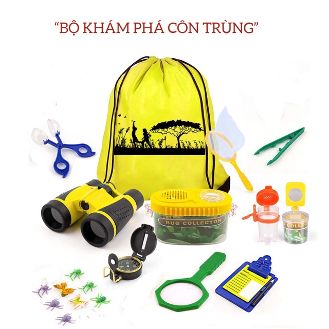 Đồ chơi khám phá côn trùng - nhà sách á châu books