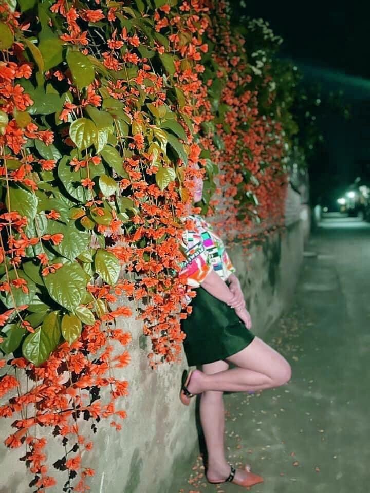 Cây giống hoa lan hoàng dương