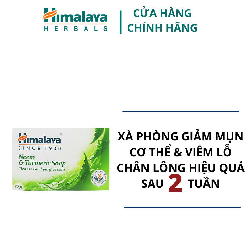 Xà Phòng Neem Nghệ Tây Himalaya Ngừa Mụn Lưng - Protecting neem & turmeric soap 75gr