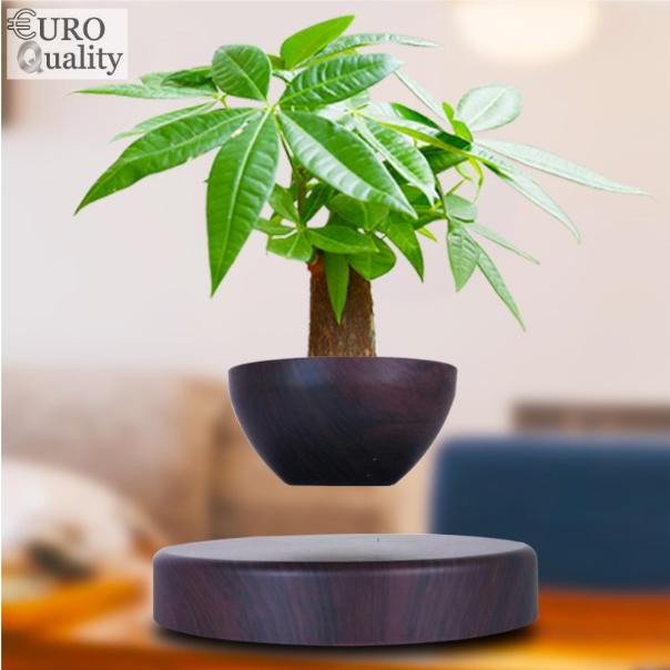 Euro Quality - Cây bonsai bay lơ lửng vân gỗ Đen