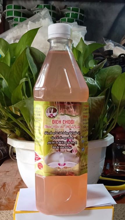 Dịch chuối chăm sóc cho Phong Lan 1 lít