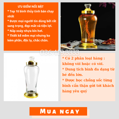 Bình Thủy Tinh Ngâm Rượu Ngâm Sâm 3 Lít