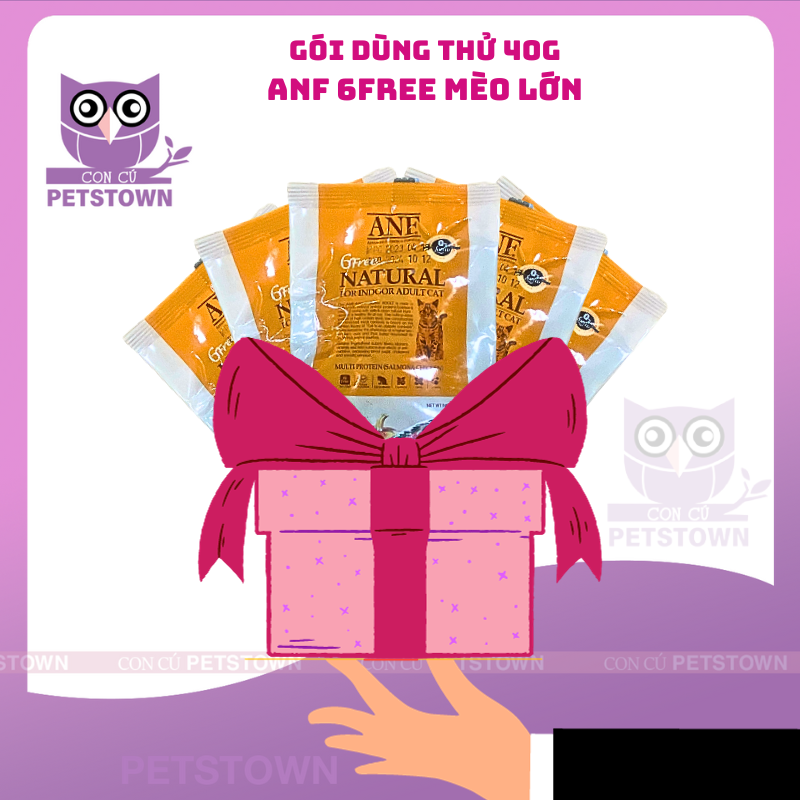 (Sample 40gr) Gói dùng thử Thức ăn hạt dành Cho Mèo nhập khẩu Hàn Quốc