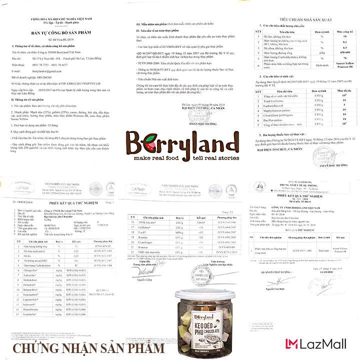 Xoài sấy dẻo 130g BerryLand