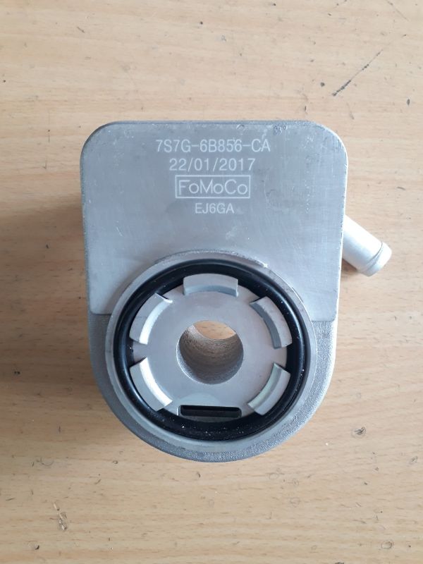 Két sinh hàn Ford Fiesta