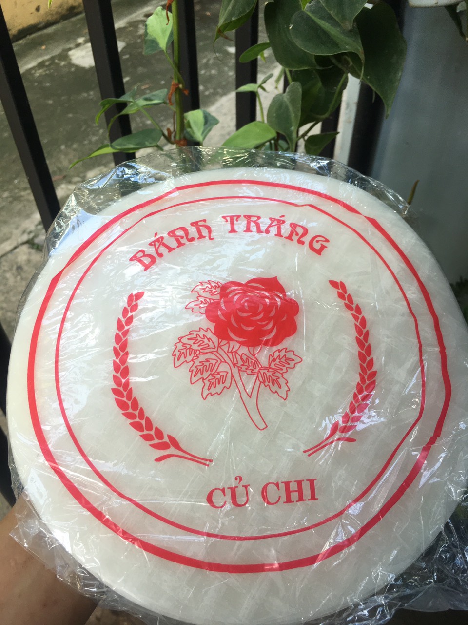 Bánh tráng cuốn chả giò