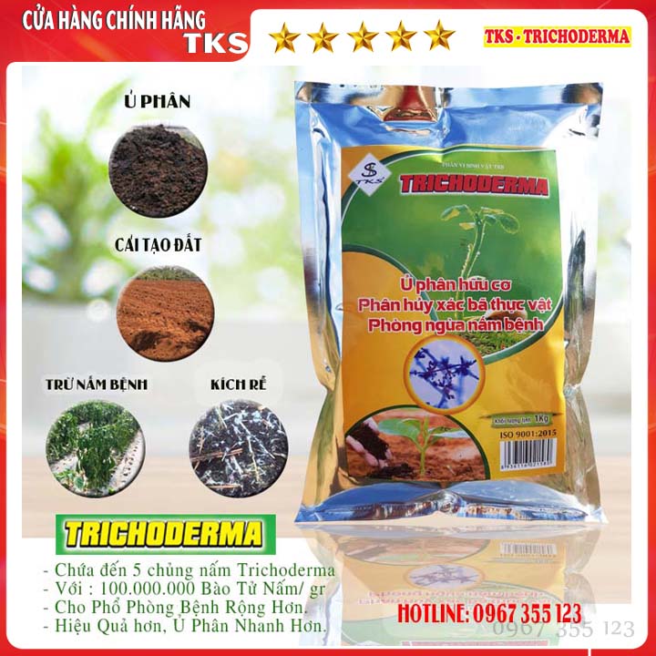[1 Kg] NẤM TRICHODERMA 5 Chủng Nấm: Ủ Phân Hữu Cơ, Cải Tạo Đất, Phòng Nấm Bệnh Hiệu Quả